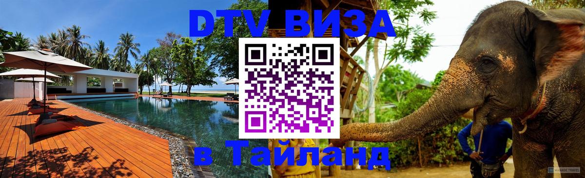 Сколько стоит DTV виза — актуальные цены, оформление даже без документов - 